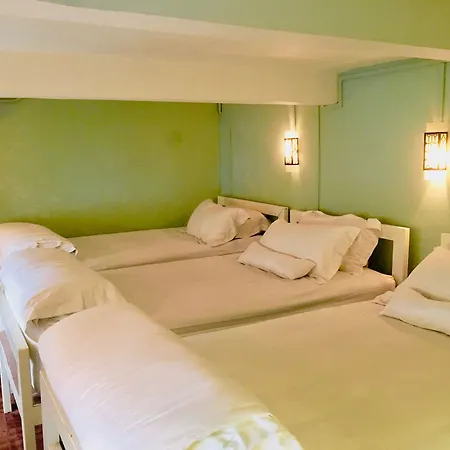 Tribe Theory - Startup Hostel For Digital Nomads